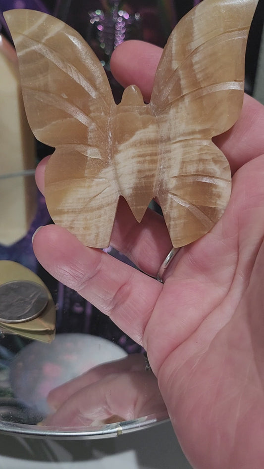 Honey Calcite Butterfly