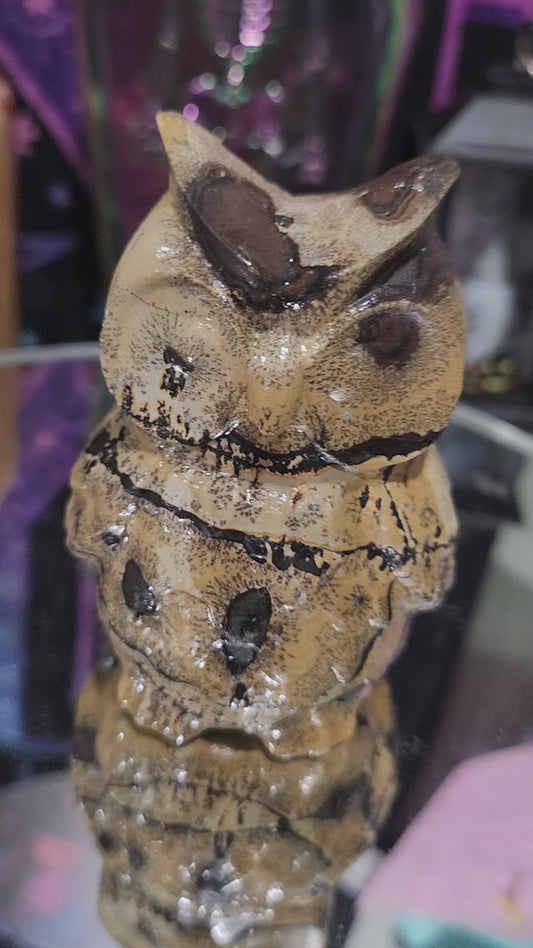 Picture Jasper Owl