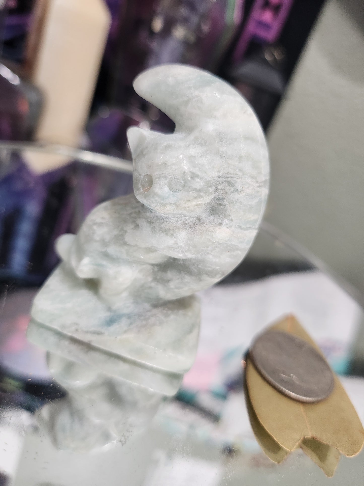 Kitten on Crescent Moon Carving