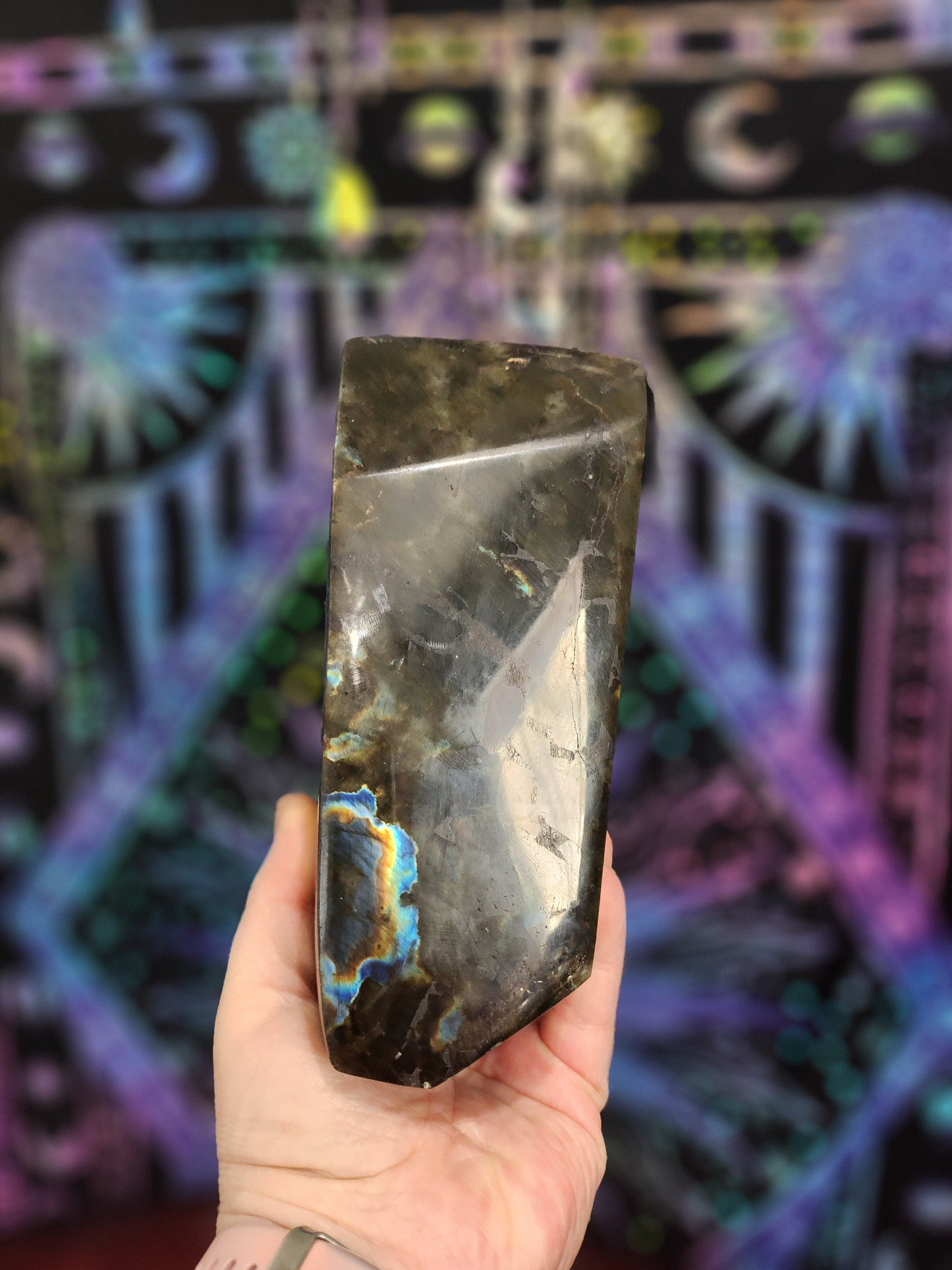 Labradorite Slab cut Freeform