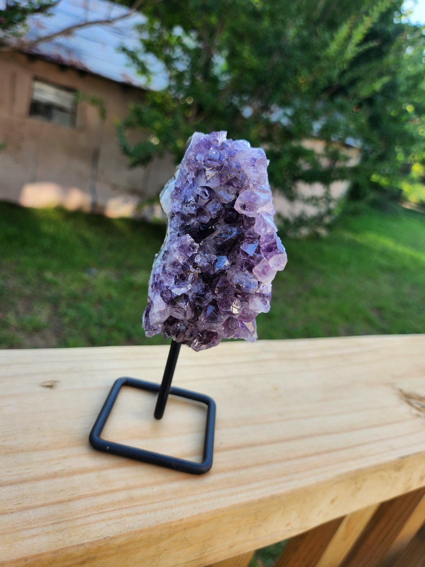 Amethyst Clusters