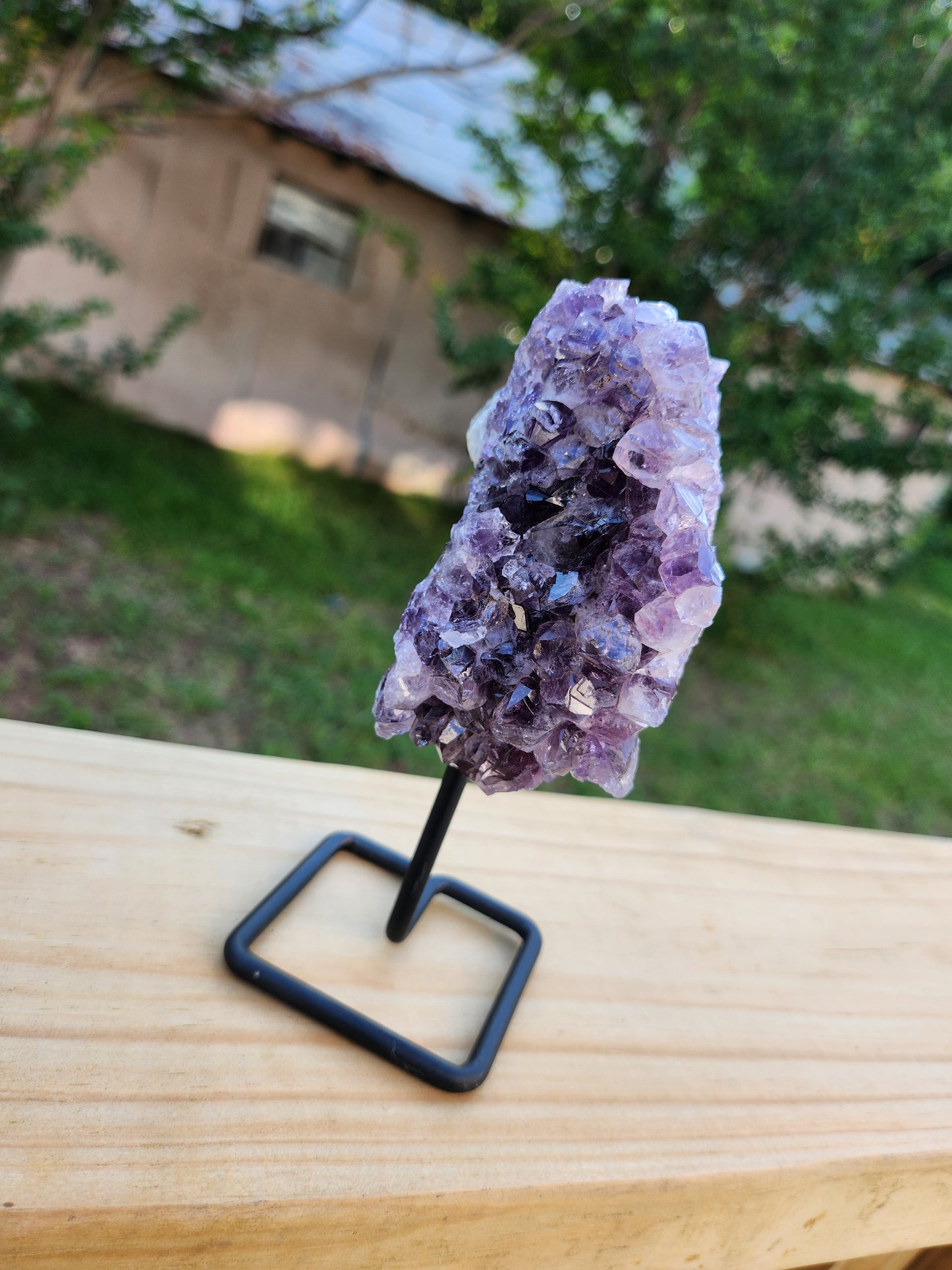 Amethyst Clusters